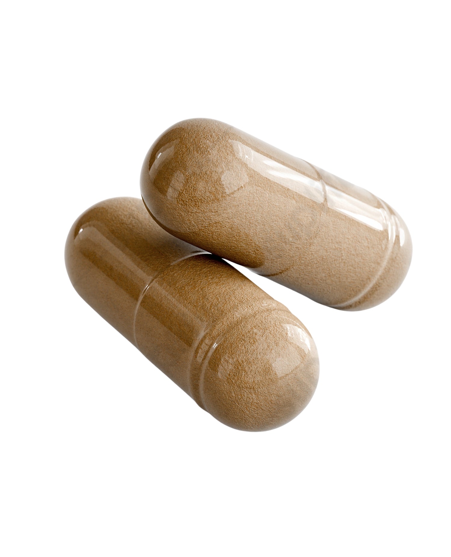 Liver