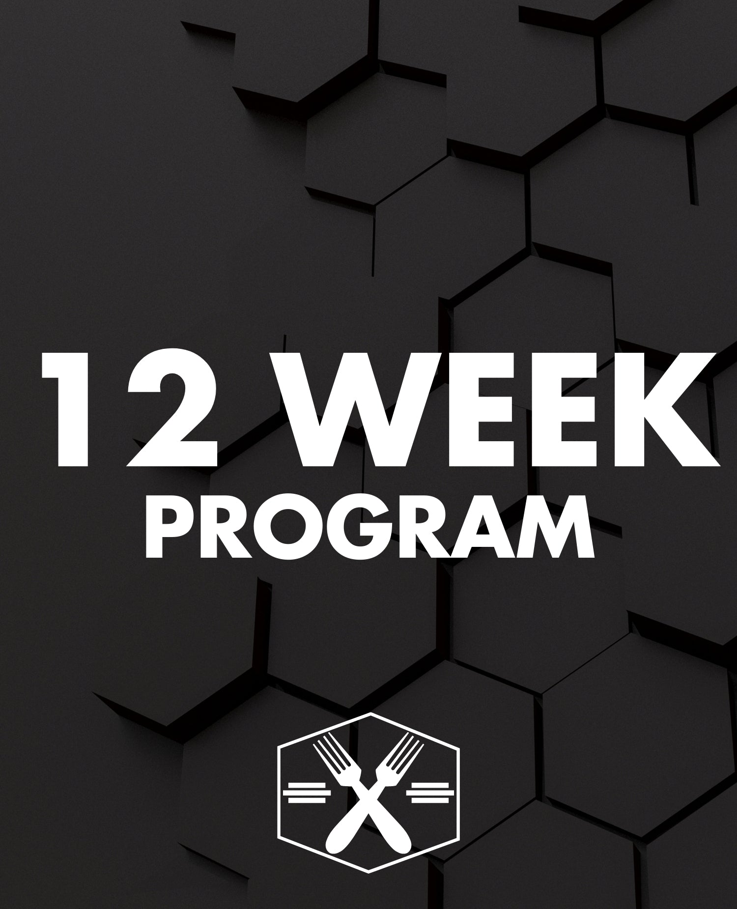 12 WEEK MEAL PLAN